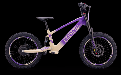 Elektro Apollo Fahrrad Sedna SX20"